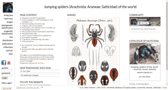 Desktop Screenshot of jumping-spiders.com